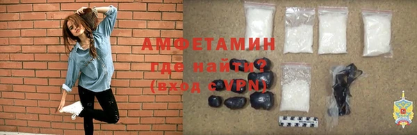 индика Няндома