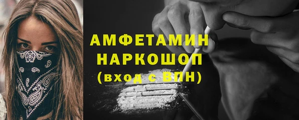 СК Алексин