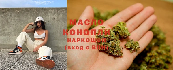индика Няндома