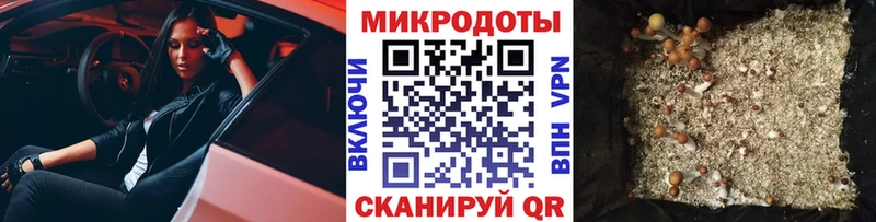 Псилоцибиновые грибы прущие грибы  Новоуральск 